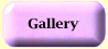 Gallery button